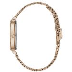 Nasiron Classic - Image 2