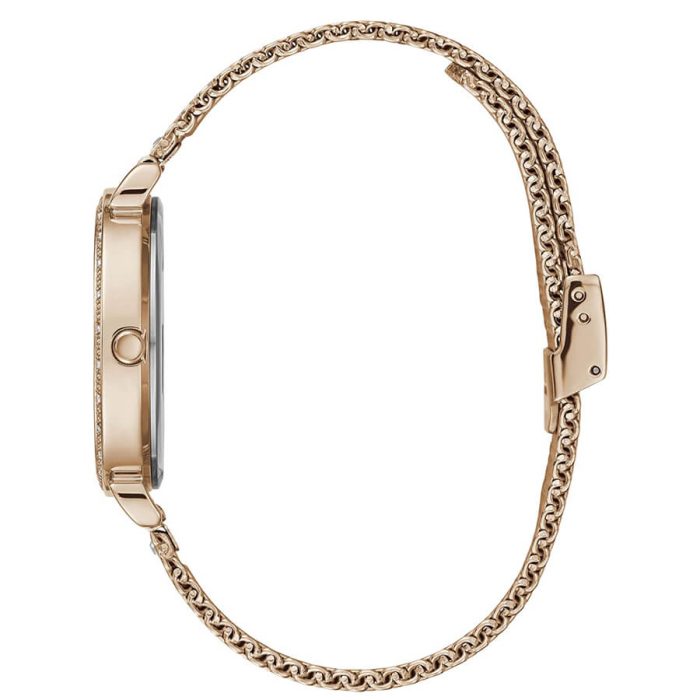 Nasiron Classic - Image 2
